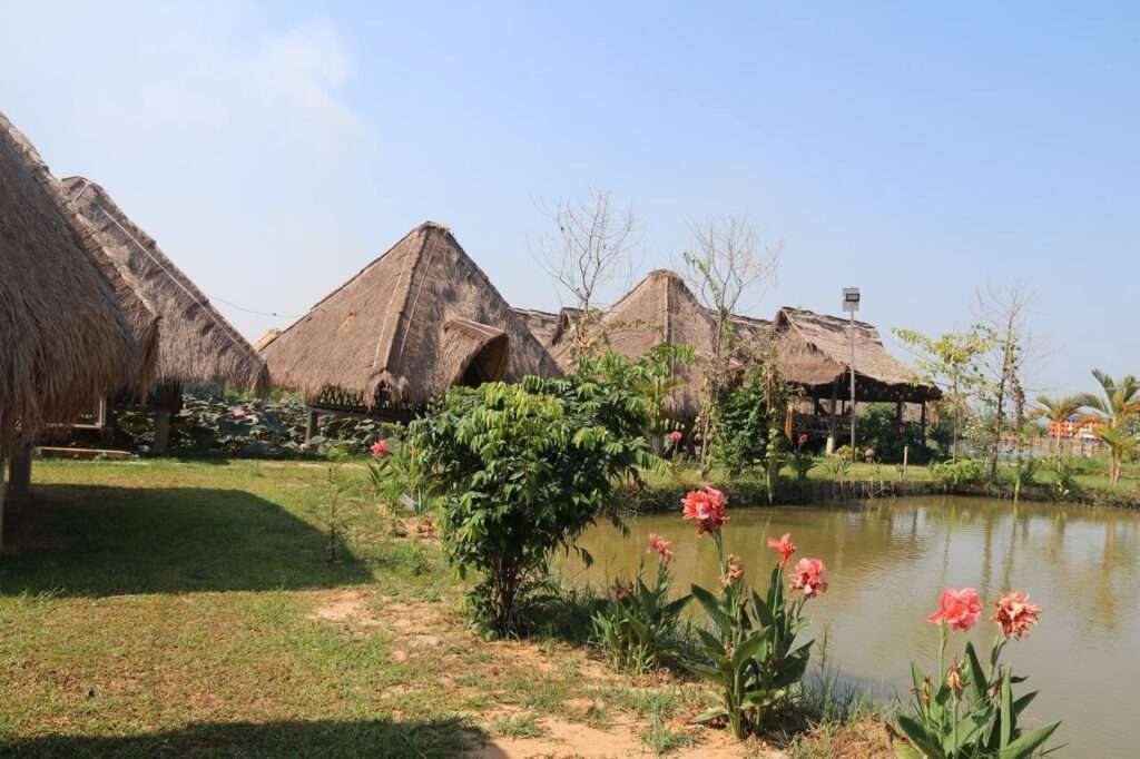 Traditional Khmer thatched-roof stilt bungalows standing beside a calm pond with green grass, shrubs, and blooming pink flowers under a clear blue sky.